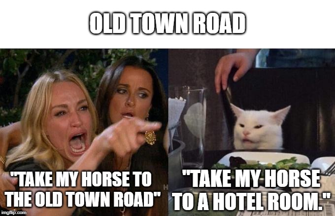 Woman Yelling At Cat Meme | OLD TOWN ROAD; "TAKE MY HORSE TO
 THE OLD TOWN ROAD"; "TAKE MY HORSE TO A HOTEL ROOM." | image tagged in memes,woman yelling at a cat | made w/ Imgflip meme maker