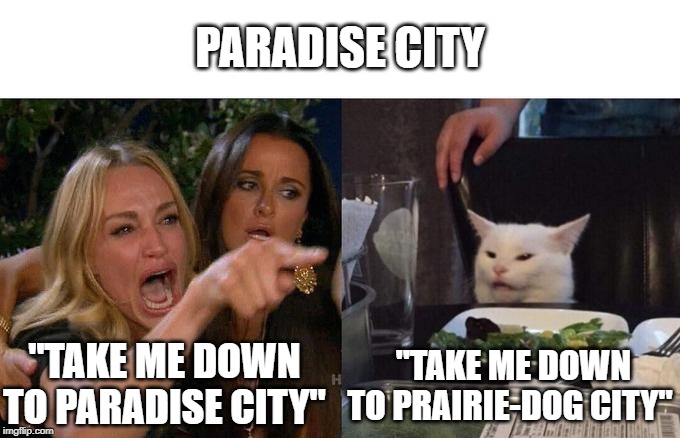 Woman Yelling At Cat | PARADISE CITY; "TAKE ME DOWN TO PARADISE CITY"; "TAKE ME DOWN TO PRAIRIE-DOG CITY" | image tagged in memes,woman yelling at a cat | made w/ Imgflip meme maker