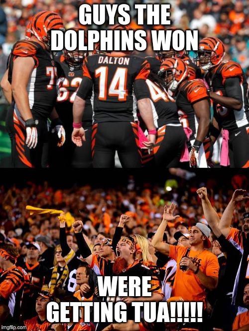 GUYS THE DOLPHINS WON; WERE GETTING TUA!!!!! | image tagged in bengals big game choke | made w/ Imgflip meme maker