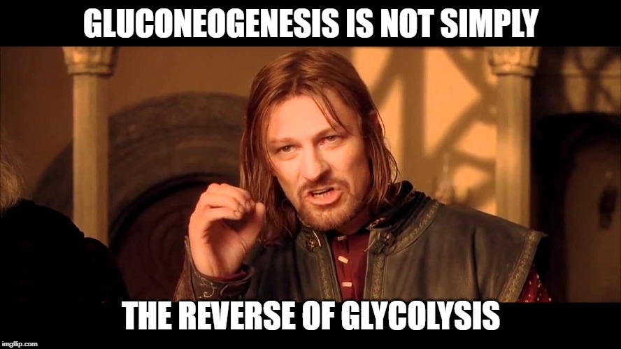 Walk Into Mordor |  GLUCONEOGENESIS IS NOT SIMPLY; THE REVERSE OF GLYCOLYSIS | image tagged in walk into mordor | made w/ Imgflip meme maker