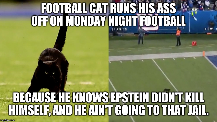 Football Cat |  FOOTBALL CAT RUNS HIS ASS OFF ON MONDAY NIGHT FOOTBALL; BECAUSE HE KNOWS EPSTEIN DIDN'T KILL HIMSELF, AND HE AIN'T GOING TO THAT JAIL. | image tagged in monday night football,cat | made w/ Imgflip meme maker