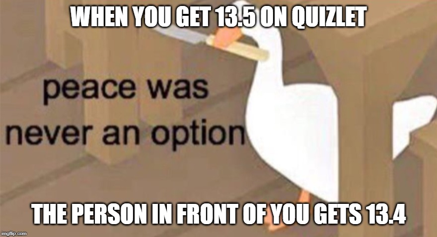 Untitled Goose Peace Was Never an Option | WHEN YOU GET 13.5 ON QUIZLET; THE PERSON IN FRONT OF YOU GETS 13.4 | image tagged in untitled goose peace was never an option | made w/ Imgflip meme maker