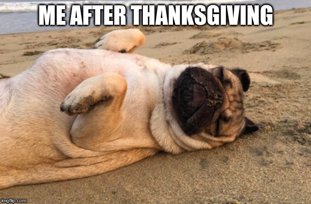 ME AFTER THANKSGIVING | image tagged in pugs | made w/ Imgflip meme maker