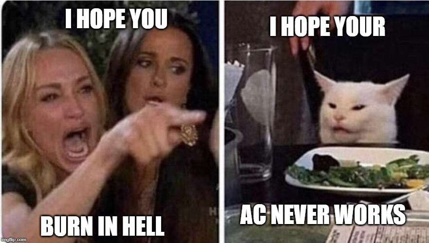 lady yelling at confused cat | I HOPE YOUR; I HOPE YOU; AC NEVER WORKS; BURN IN HELL | image tagged in lady yelling at confused cat | made w/ Imgflip meme maker