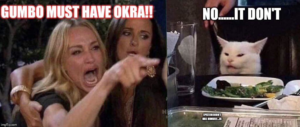 woman yelling at cat | GUMBO MUST HAVE OKRA!! NO......IT DON'T; EPSTEIN DIDN'T KILL HIMSELF...JS | image tagged in woman yelling at cat | made w/ Imgflip meme maker