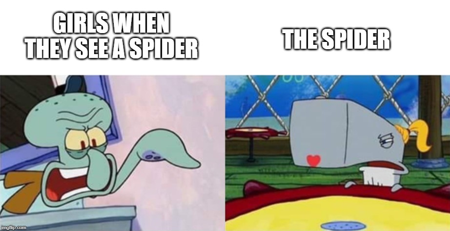 This meme is very popular on Twitter and Reddit... | GIRLS WHEN THEY SEE A SPIDER; THE SPIDER | image tagged in x versus y,twitter,reddit,spongebob,memes,funny memes | made w/ Imgflip meme maker