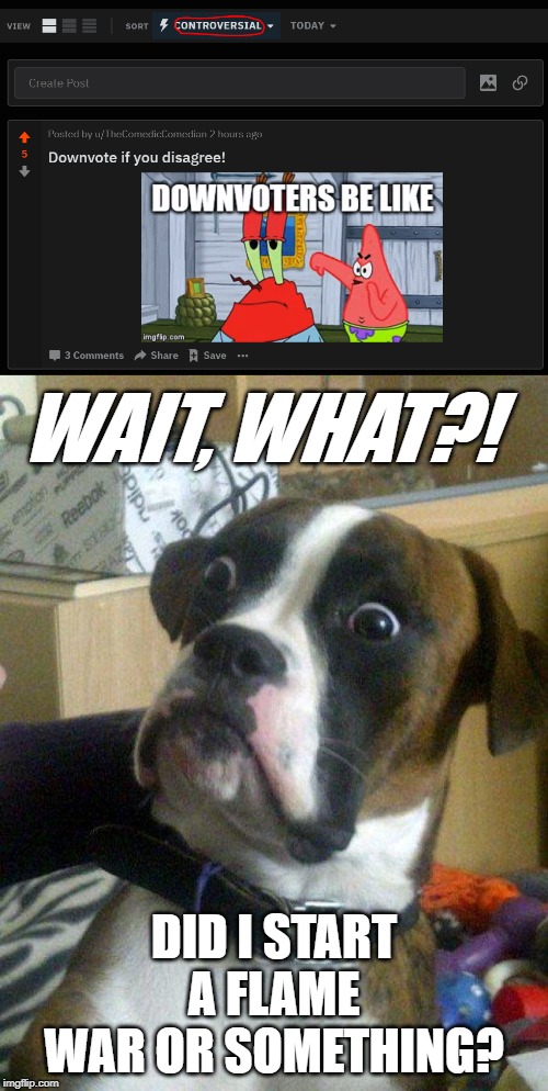 They Disagreed | WAIT, WHAT?! DID I START A FLAME WAR OR SOMETHING? | image tagged in blankie the shocked dog,reddit,controversial,oh dear,memes,funny | made w/ Imgflip meme maker