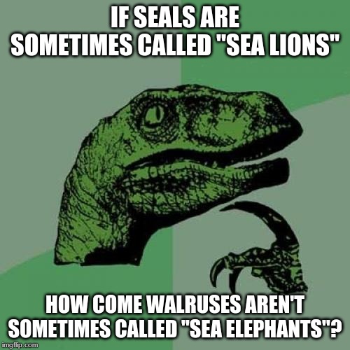 Unless they do, and I've been living under a rock. | IF SEALS ARE SOMETIMES CALLED "SEA LIONS"; HOW COME WALRUSES AREN'T SOMETIMES CALLED "SEA ELEPHANTS"? | image tagged in memes,philosoraptor,seal,walrus,animals | made w/ Imgflip meme maker