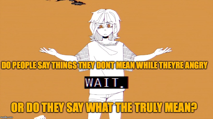 Wait | DO PEOPLE SAY THINGS THEY DONT MEAN WHILE THEYRE ANGRY; OR DO THEY SAY WHAT THE TRULY MEAN? | image tagged in wait | made w/ Imgflip meme maker