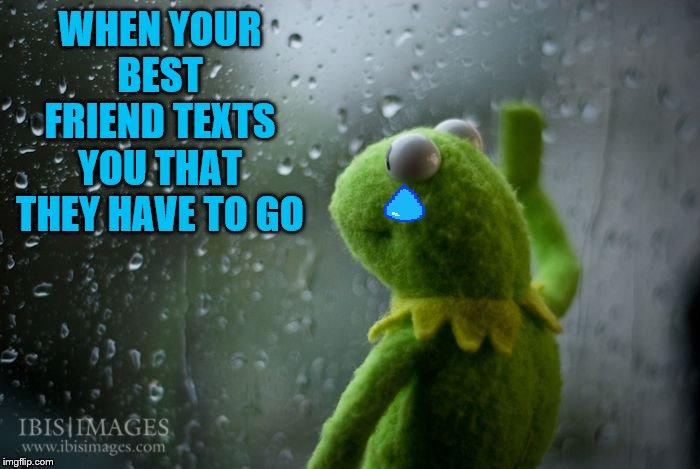kermit window | WHEN YOUR BEST FRIEND TEXTS YOU THAT THEY HAVE TO GO | image tagged in kermit window | made w/ Imgflip meme maker