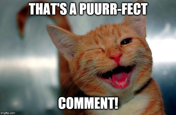 winky kitty | THAT'S A PUURR-FECT COMMENT! | image tagged in winky kitty | made w/ Imgflip meme maker