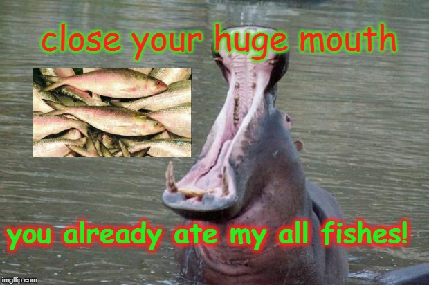 Hippo Mouth Open | close your huge mouth; you already ate my all fishes! | image tagged in hippo mouth open | made w/ Imgflip meme maker