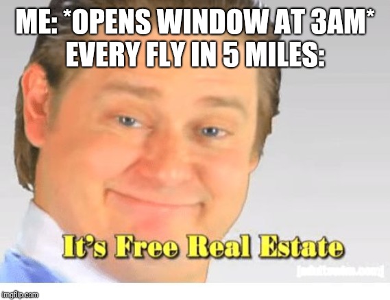 It's Free Real Estate |  ME: *OPENS WINDOW AT 3AM*
EVERY FLY IN 5 MILES: | image tagged in it's free real estate | made w/ Imgflip meme maker