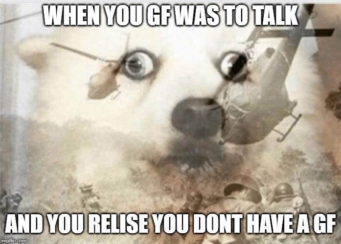 PTSD dog | WHEN YOU GF WAS TO TALK; AND YOU RELISE YOU DONT HAVE A GF | image tagged in ptsd dog | made w/ Imgflip meme maker