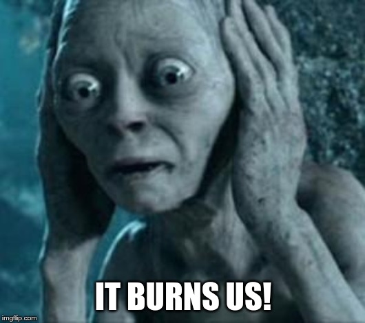 Scared Gollum | IT BURNS US! | image tagged in scared gollum | made w/ Imgflip meme maker