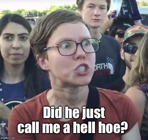 Triggered feminist | Did he just call me a hell hoe? | image tagged in triggered feminist | made w/ Imgflip meme maker