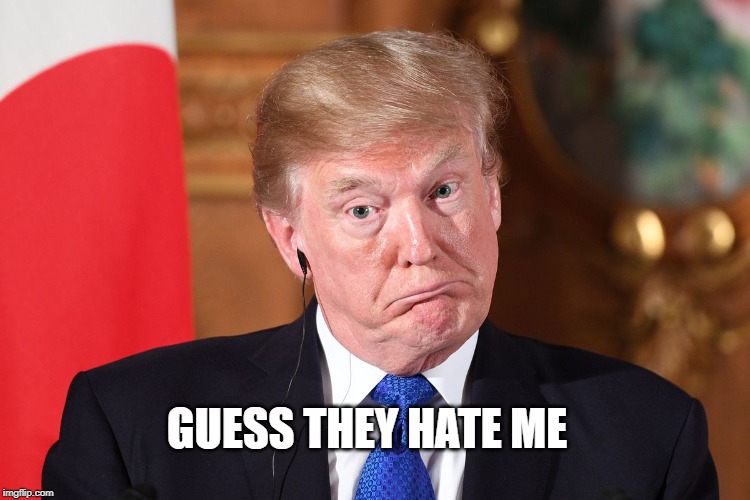 Trump dumbfounded | GUESS THEY HATE ME | image tagged in trump dumbfounded | made w/ Imgflip meme maker
