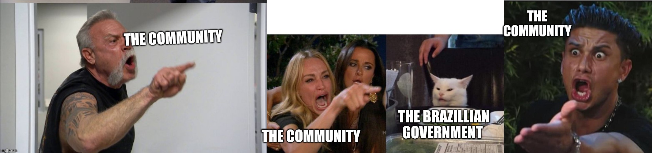 THE COMMUNITY THE BRAZILLIAN GOVERNMENT THE COMMUNITY THE COMMUNITY | image tagged in memes,american chopper argument,woman yelling at a cat,four panel taylor armstrong pauly d callmecarson cat | made w/ Imgflip meme maker
