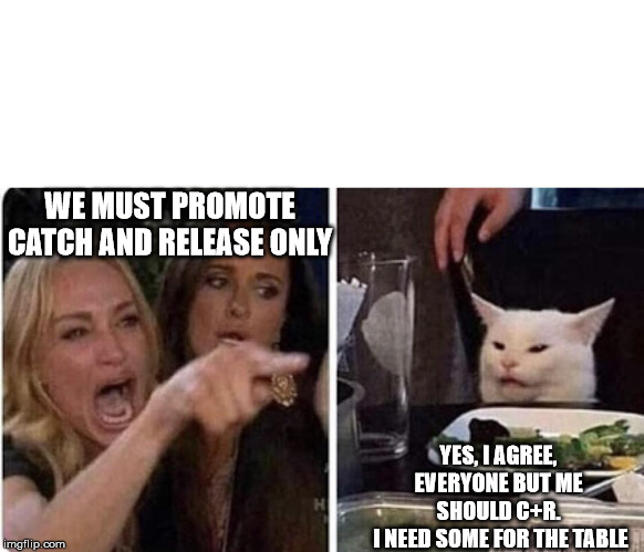 Ladies Yelling at Confused Cat | WE MUST PROMOTE CATCH AND RELEASE ONLY; YES, I AGREE, EVERYONE BUT ME SHOULD C+R.
 I NEED SOME FOR THE TABLE | image tagged in ladies yelling at confused cat | made w/ Imgflip meme maker