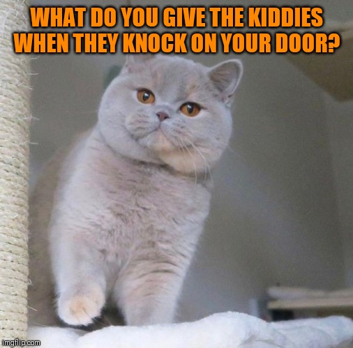 WHAT DO YOU GIVE THE KIDDIES WHEN THEY KNOCK ON YOUR DOOR? | made w/ Imgflip meme maker