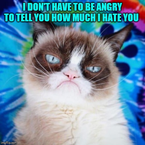 I DON'T HAVE TO BE ANGRY TO TELL YOU HOW MUCH I HATE YOU | made w/ Imgflip meme maker