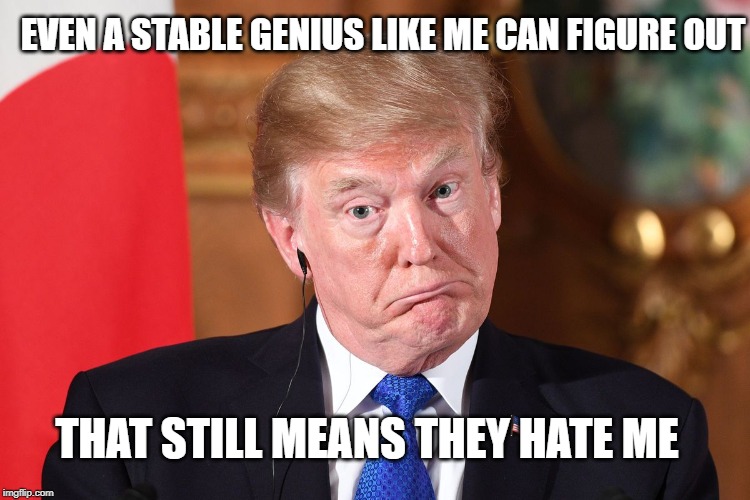 Trump dumbfounded | EVEN A STABLE GENIUS LIKE ME CAN FIGURE OUT THAT STILL MEANS THEY HATE ME | image tagged in trump dumbfounded | made w/ Imgflip meme maker
