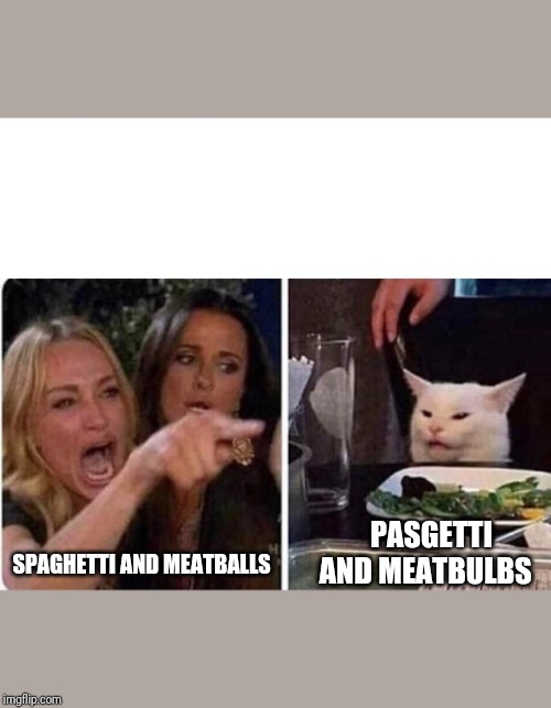 lady yelling at cat | PASGETTI AND MEATBULBS; SPAGHETTI AND MEATBALLS | image tagged in lady yelling at cat | made w/ Imgflip meme maker