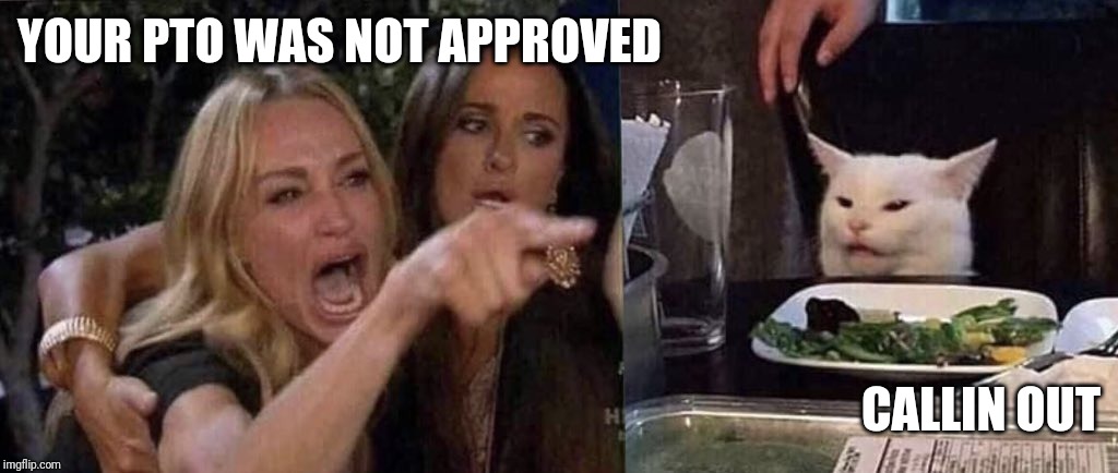 woman yelling at cat | YOUR PTO WAS NOT APPROVED; CALLIN OUT | image tagged in woman yelling at cat | made w/ Imgflip meme maker