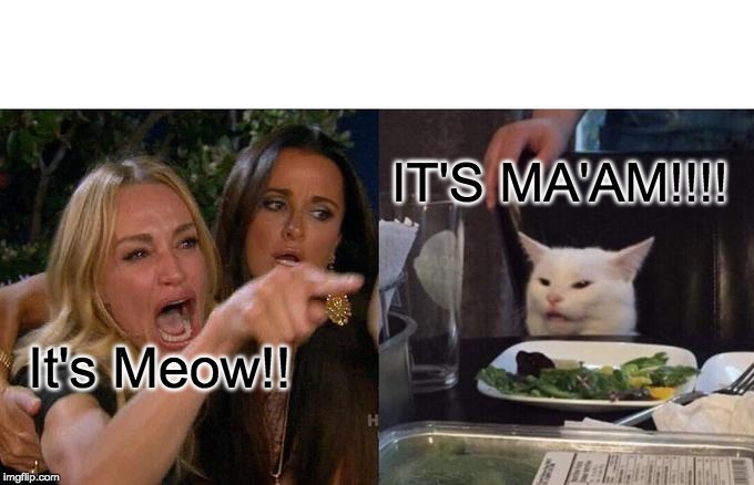 Woman Yelling At Cat Meme | IT'S MA'AM!!!! It's Meow!! | image tagged in memes,woman yelling at a cat | made w/ Imgflip meme maker