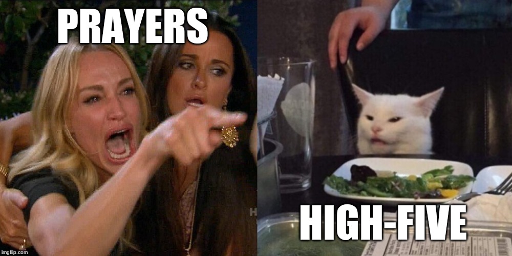 Woman yelling at cat | PRAYERS; HIGH-FIVE | image tagged in woman yelling at cat | made w/ Imgflip meme maker