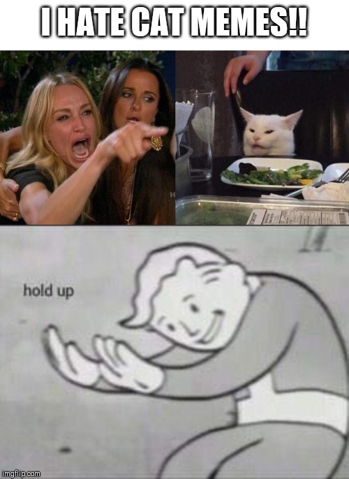 I HATE CAT MEMES!! | image tagged in fallout hold up,memes,woman yelling at a cat | made w/ Imgflip meme maker