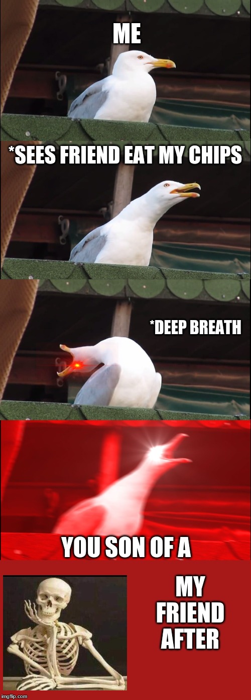 Inhaling Seagull | ME; *SEES FRIEND EAT MY CHIPS; *DEEP BREATH; MY FRIEND AFTER; YOU SON OF A | image tagged in memes,inhaling seagull | made w/ Imgflip meme maker