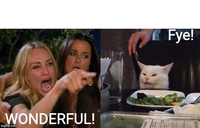 Woman Yelling At Cat | Fye! WONDERFUL! | image tagged in memes,woman yelling at a cat | made w/ Imgflip meme maker