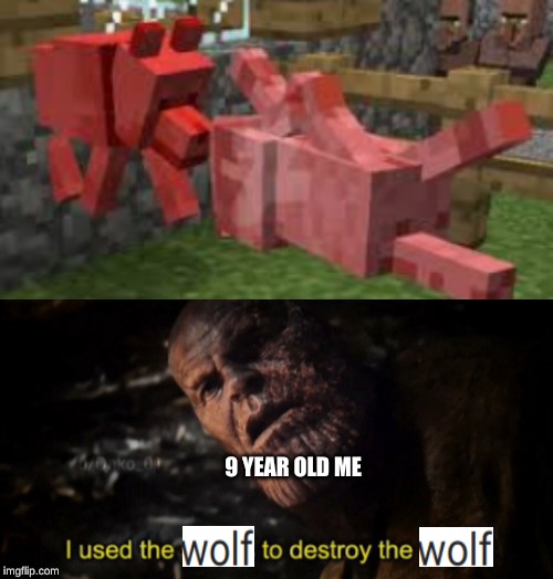 9 YEAR OLD ME | image tagged in i used the stones to destroy the stones | made w/ Imgflip meme maker