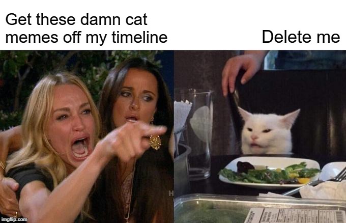 Woman Yelling At Cat | Get these damn cat memes off my timeline; Delete me | image tagged in memes,woman yelling at a cat | made w/ Imgflip meme maker