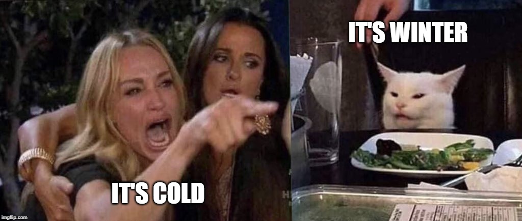 woman yelling at cat | IT'S WINTER; IT'S COLD | image tagged in woman yelling at cat | made w/ Imgflip meme maker