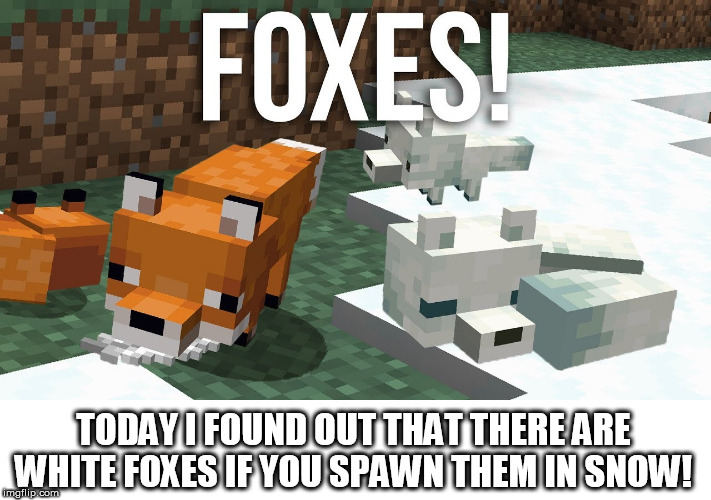 i didnt know that untill today | TODAY I FOUND OUT THAT THERE ARE WHITE FOXES IF YOU SPAWN THEM IN SNOW! | image tagged in minecraft,fox | made w/ Imgflip meme maker