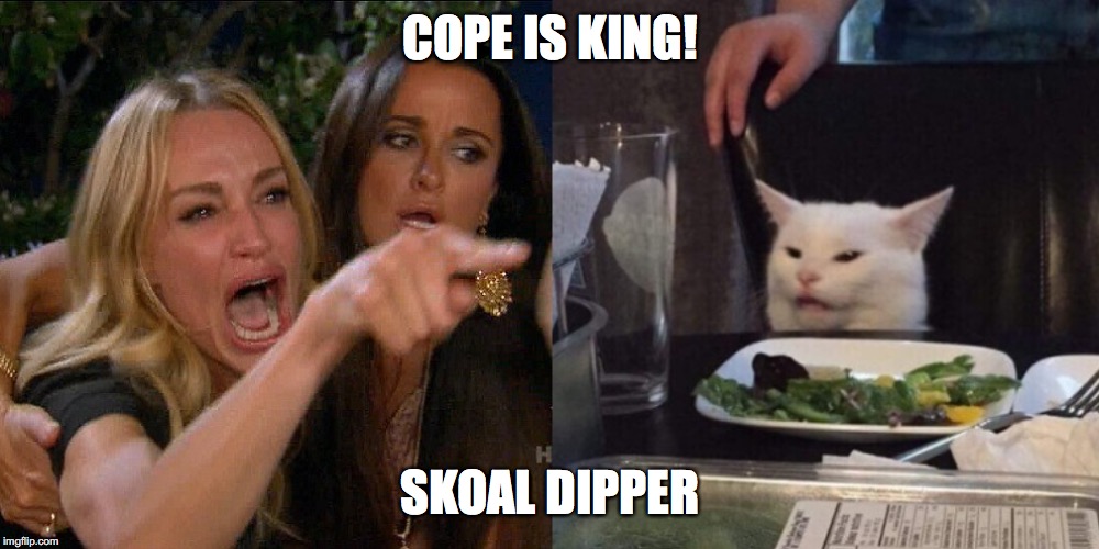 Woman yelling at cat | COPE IS KING! SKOAL DIPPER | image tagged in woman yelling at cat | made w/ Imgflip meme maker