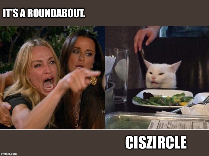 salad cat | IT’S A ROUNDABOUT. CISZIRCLE | image tagged in salad cat | made w/ Imgflip meme maker