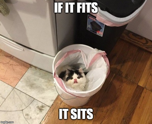 JUST LOOKIN FOR THEM SCRAPS | IF IT FITS; IT SITS | image tagged in cats,funny cats | made w/ Imgflip meme maker