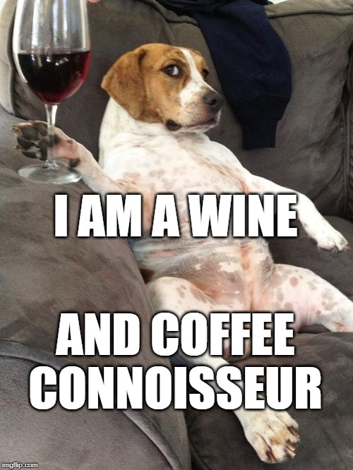 We canz plahy now?! Imgflip