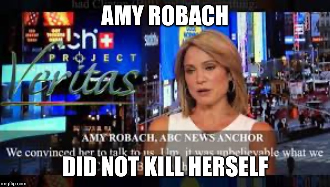 Amy Robach | AMY ROBACH; DID NOT KILL HERSELF | image tagged in amy robach,jeffrey epstein,abc | made w/ Imgflip meme maker
