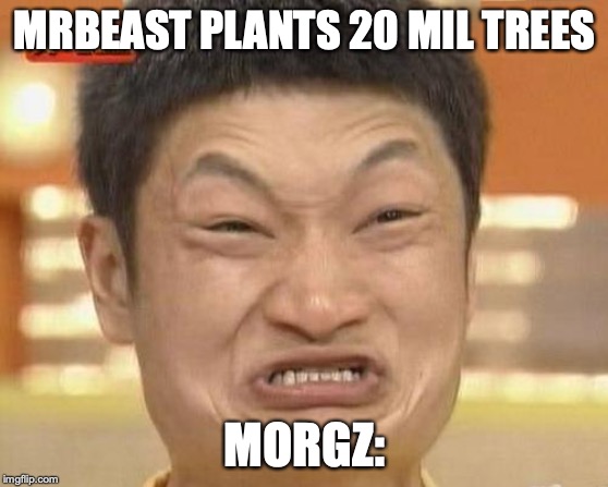 Impossibru Guy Original Meme | MRBEAST PLANTS 20 MIL TREES; MORGZ: | image tagged in memes,impossibru guy original | made w/ Imgflip meme maker