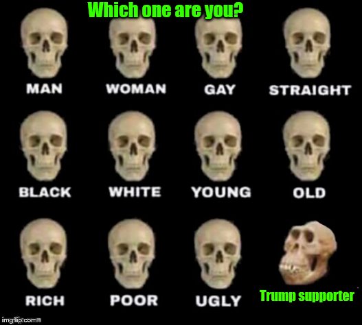idiot skull | Which one are you? Trump supporter | image tagged in idiot skull | made w/ Imgflip meme maker