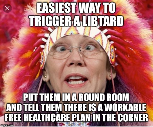 Pocahontas Warren | EASIEST WAY TO TRIGGER A LIBTARD; PUT THEM IN A ROUND ROOM AND TELL THEM THERE IS A WORKABLE FREE HEALTHCARE PLAN IN THE CORNER | image tagged in pocahontas warren | made w/ Imgflip meme maker