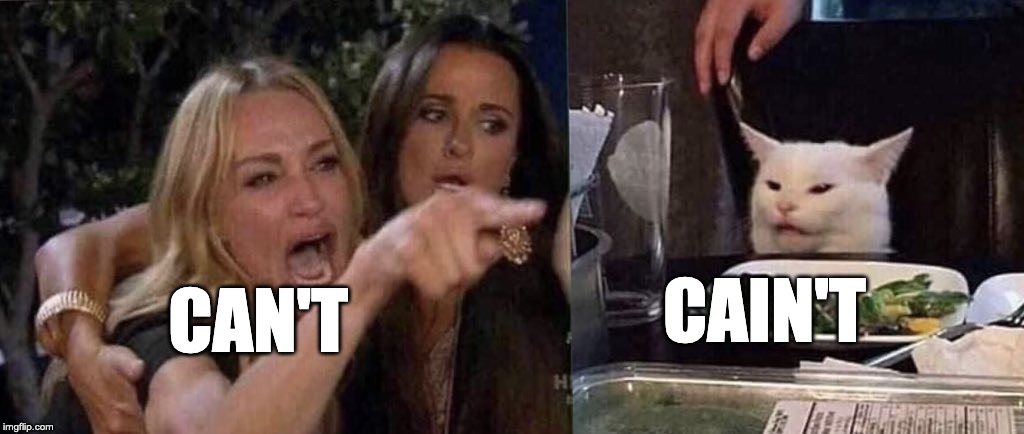 woman yelling at cat | CAN'T; CAIN'T | image tagged in woman yelling at cat | made w/ Imgflip meme maker