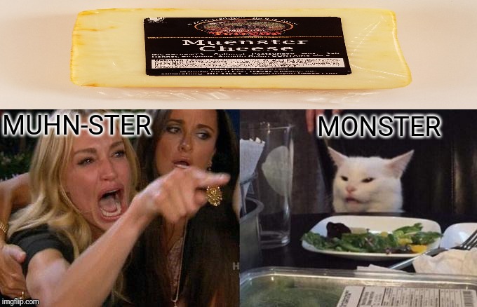 Woman Yelling At Cat Meme | MUHN-STER; MONSTER | image tagged in memes,woman yelling at a cat | made w/ Imgflip meme maker