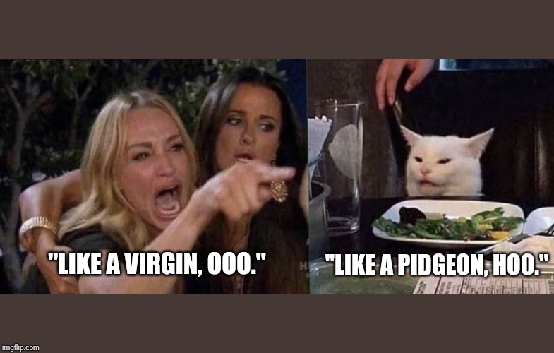 woman yelling at cat | "LIKE A VIRGIN, OOO."; "LIKE A PIDGEON, HOO." | image tagged in woman yelling at cat | made w/ Imgflip meme maker