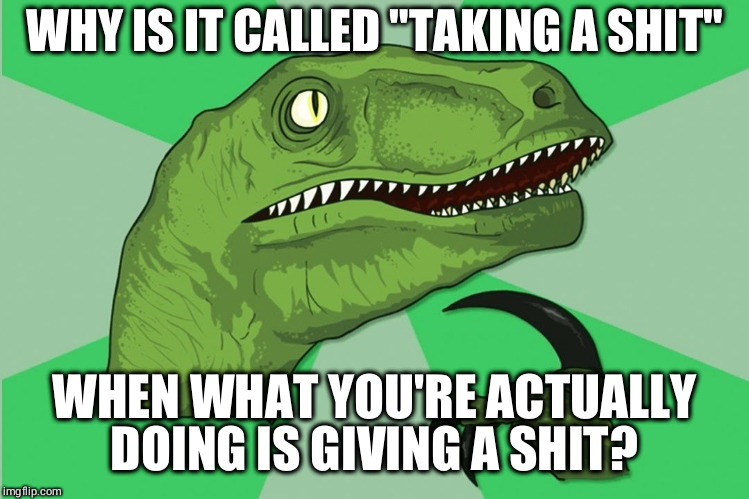 new philosoraptor | WHY IS IT CALLED "TAKING A SHIT"; WHEN WHAT YOU'RE ACTUALLY DOING IS GIVING A SHIT? | image tagged in new philosoraptor | made w/ Imgflip meme maker