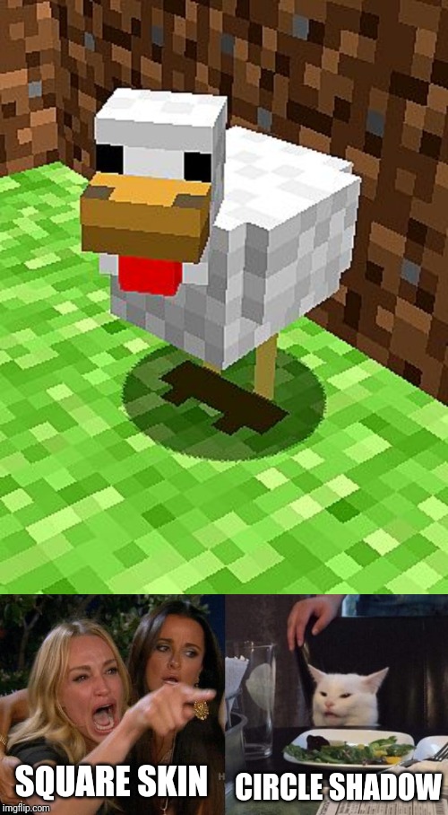Minecraft is wrong! | CIRCLE SHADOW; SQUARE SKIN | image tagged in memes,woman yelling at a cat,funny,minecraft,chicken,genius | made w/ Imgflip meme maker
